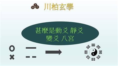 動爻|文王卦: 第十六章: 有用動爻的分析辨別